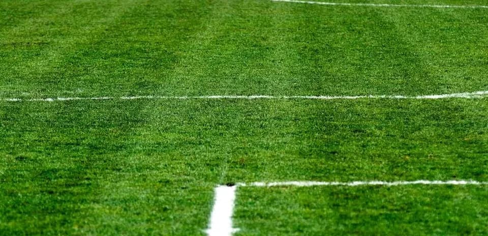 Campo de fútbol con líneas blancas marcadas