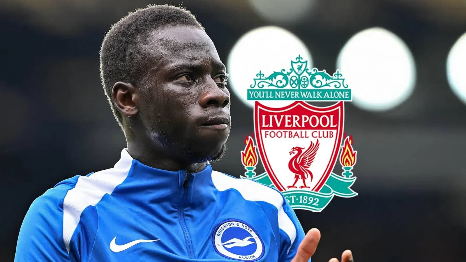 Jugador de Brighton & Hove Albion en primer plano