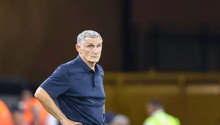 Entrenador observando el partido desde la banda