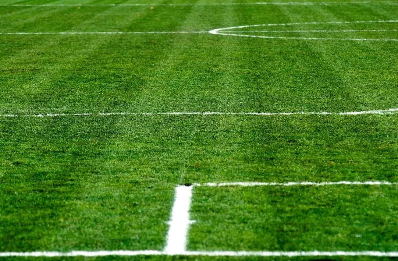 Campo de fútbol con líneas marcadas en césped Campo de fútbol con líneas marcadas en césped