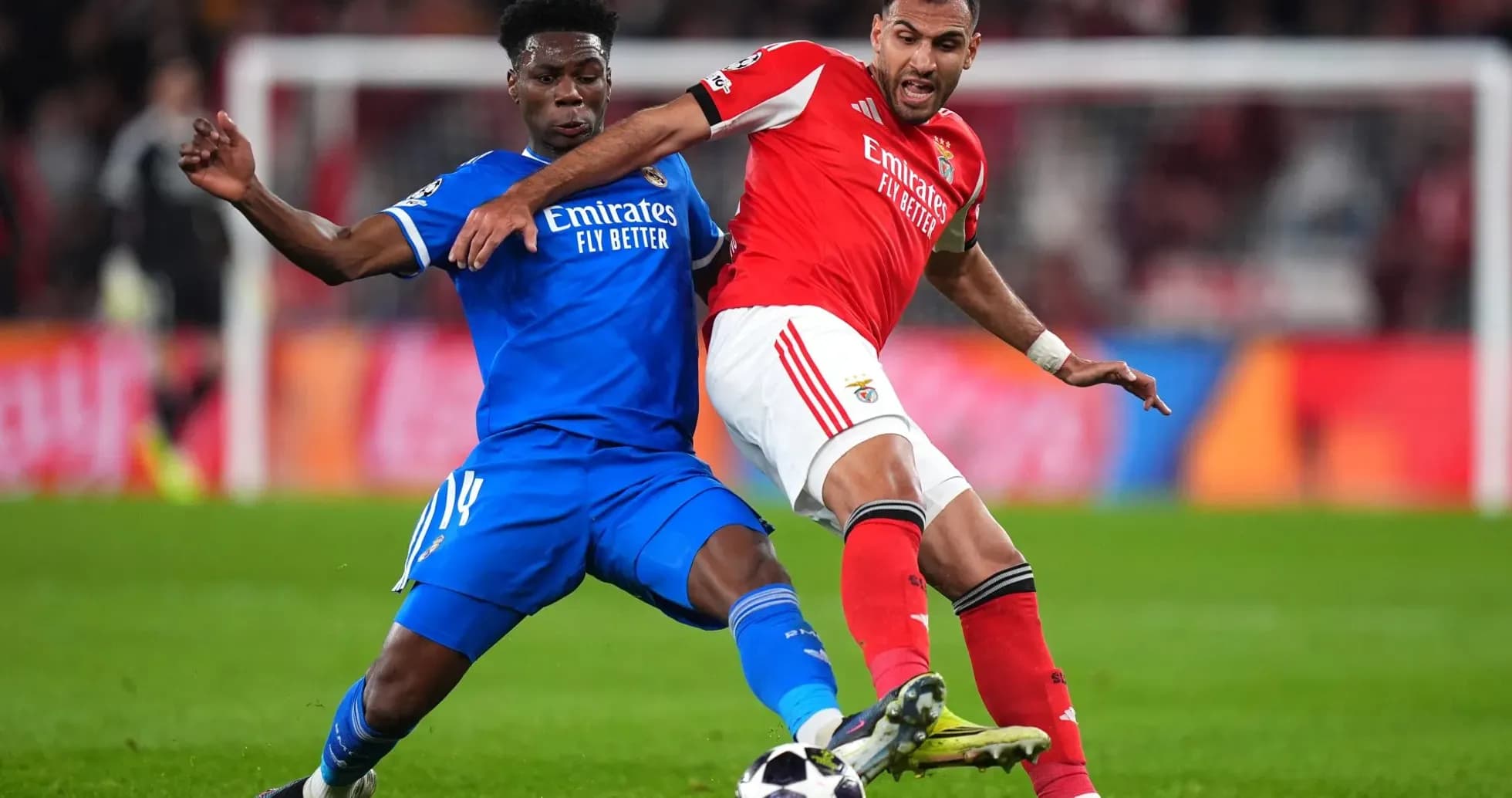 Real Madrid vs Benfica: Actualización de plantillas y disponibilidad Real Madrid vs Benfica: Actualización de plantillas y disponibilidad