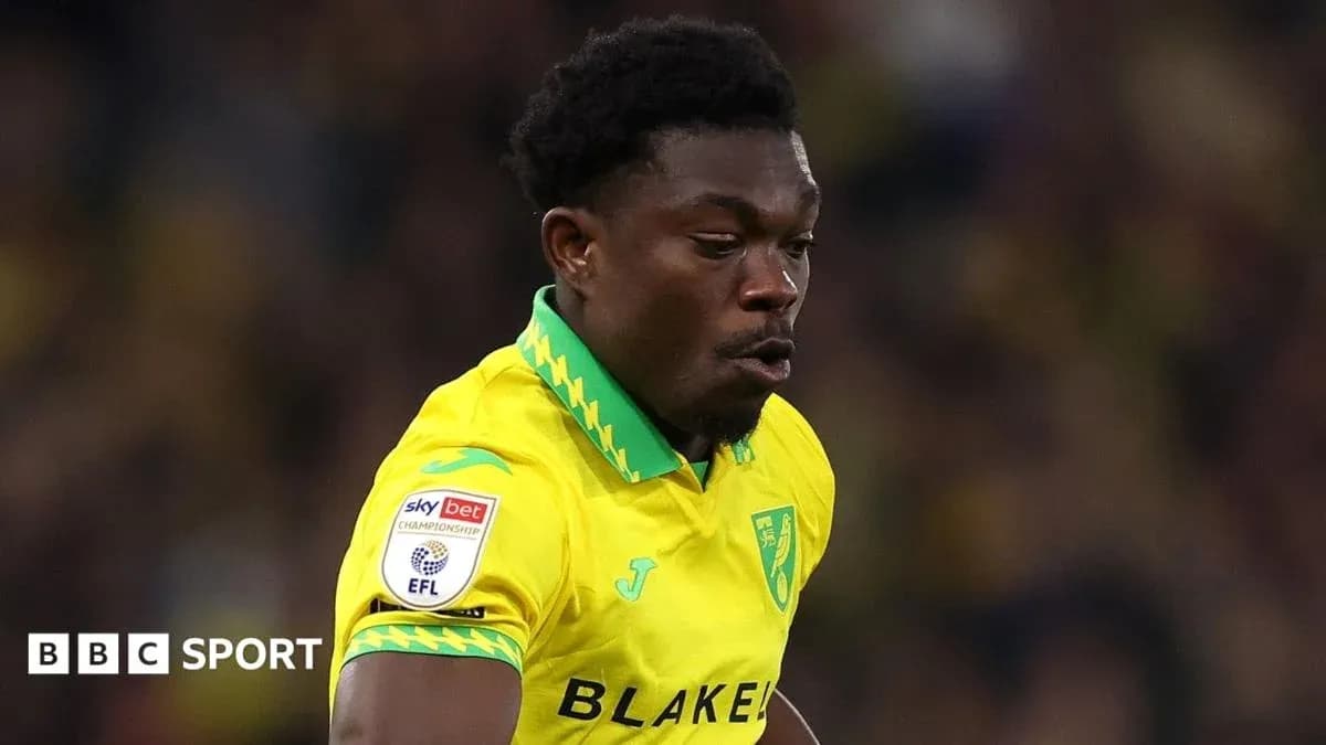 Jugador de Norwich City en acción durante el partido Jugador de Norwich City en acción durante el partido