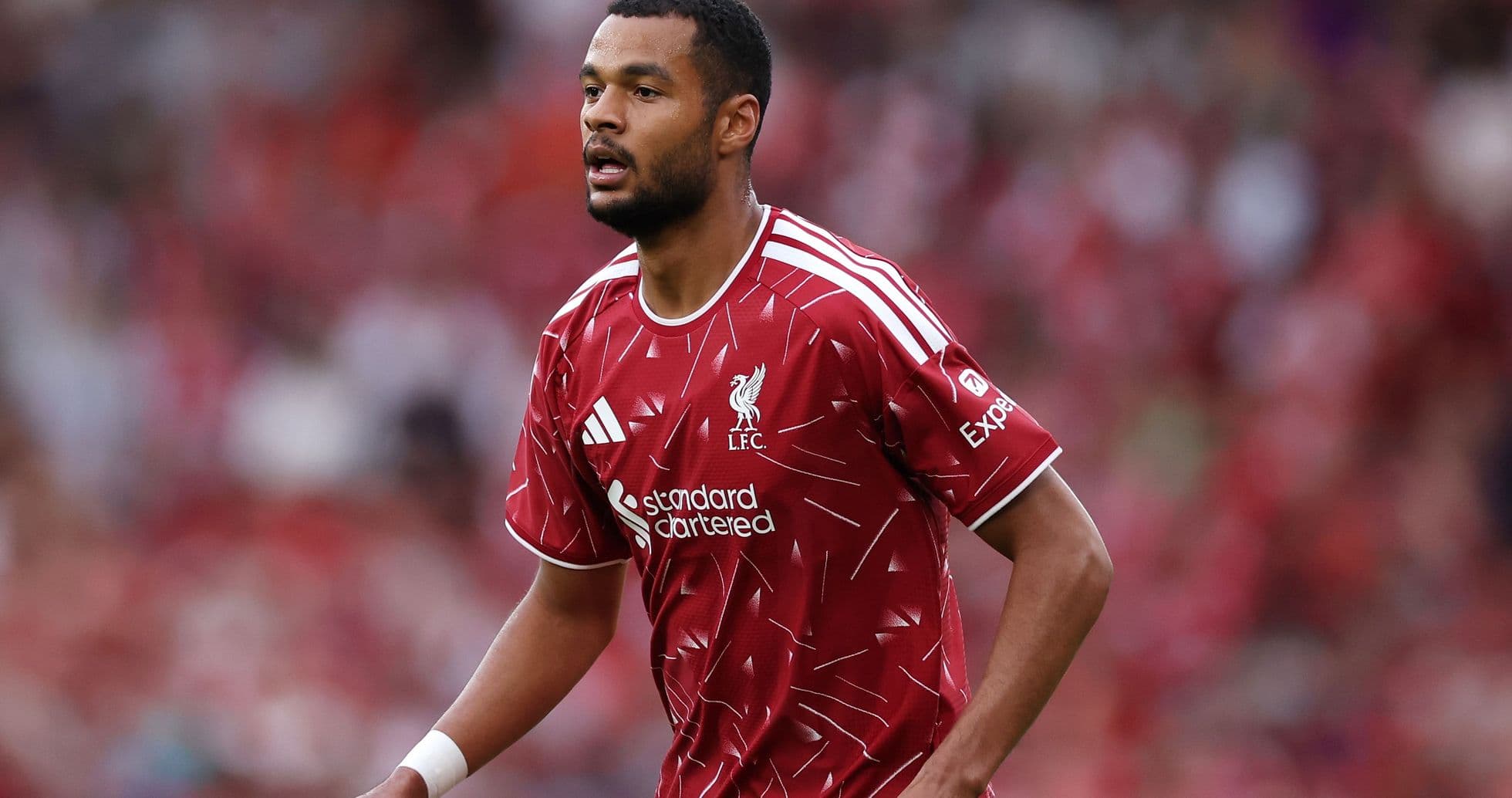 Iraola admite dudas sobre la permanencia de Gakpo mientras Liverpool avanza por Barcola Iraola admite dudas sobre la permanencia de Gakpo mientras Liverpool avanza por Barcola